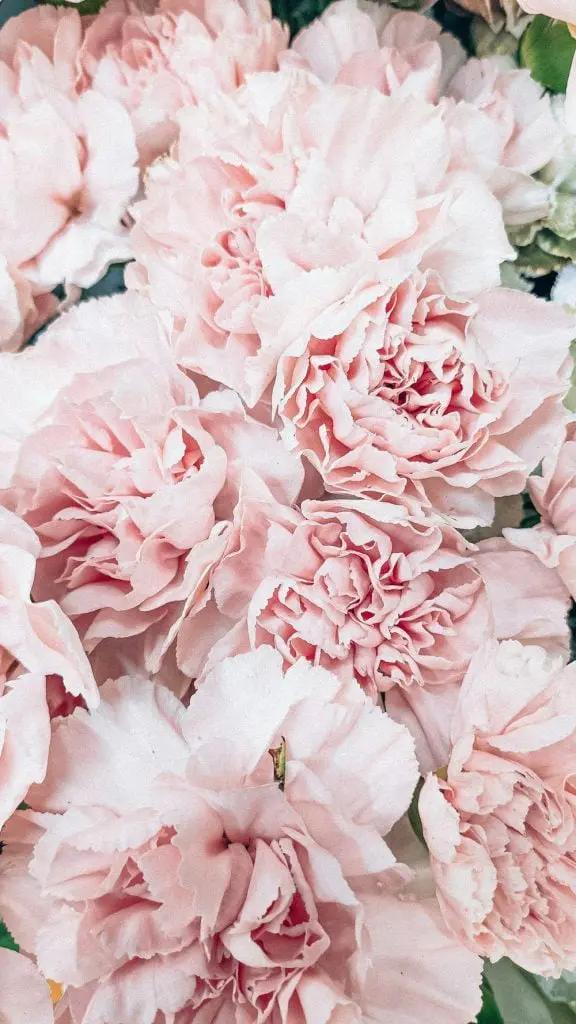 5 Tips on How transforming Setbacks into Remarkable Comebacks