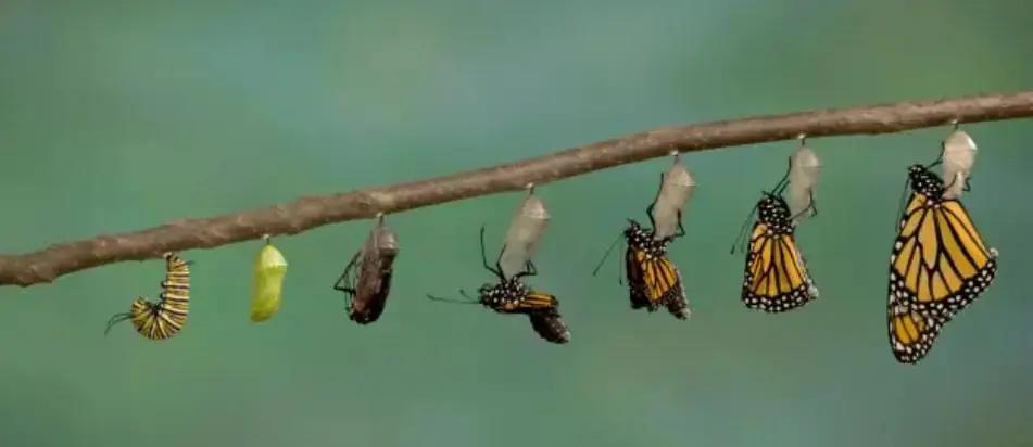 How To Embrace Core Values: The Catalyst for Life Changes
