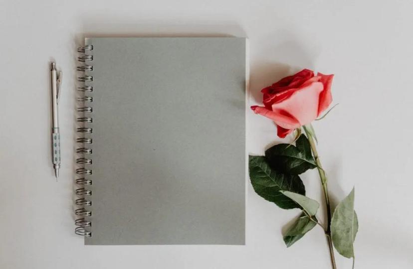 Struggle for Authenticity: Balancing Self and Social Expectations