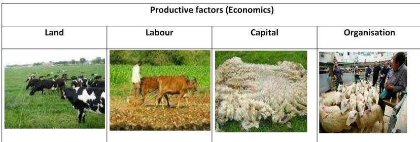 Livestock as economic productive factors