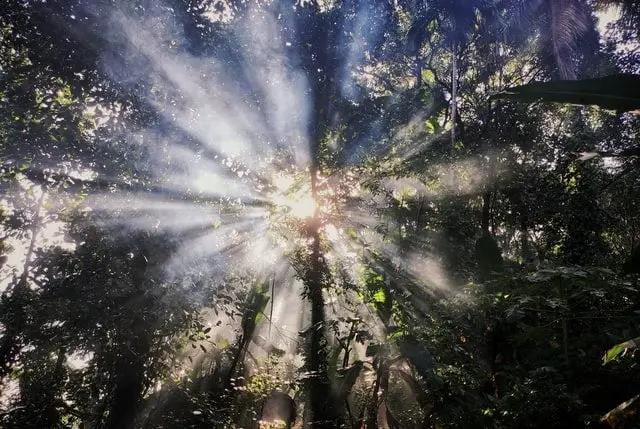 Enlightenment