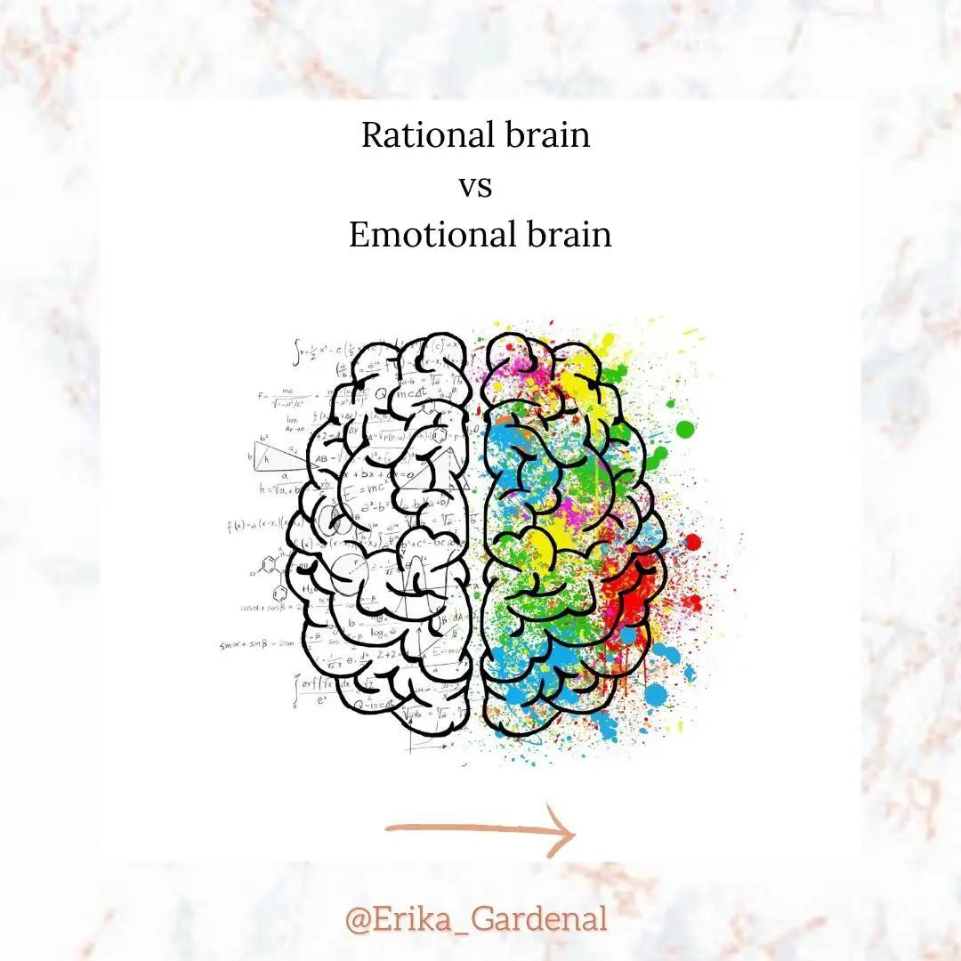 Rational Brain vs Emotional Brain