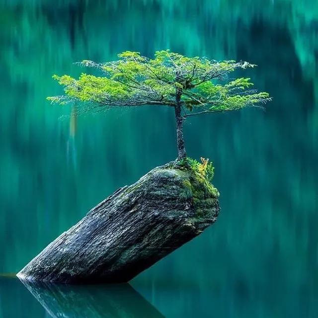 Make giving your way of living 