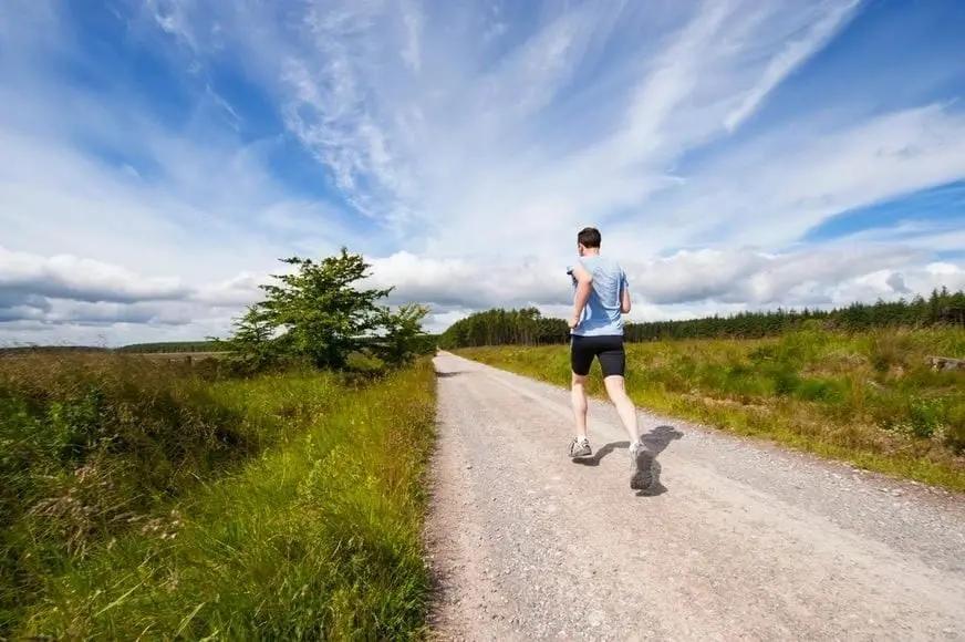 A Healthy Life Stems from Balance