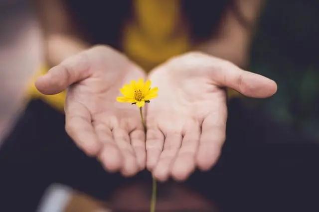 Altruism
