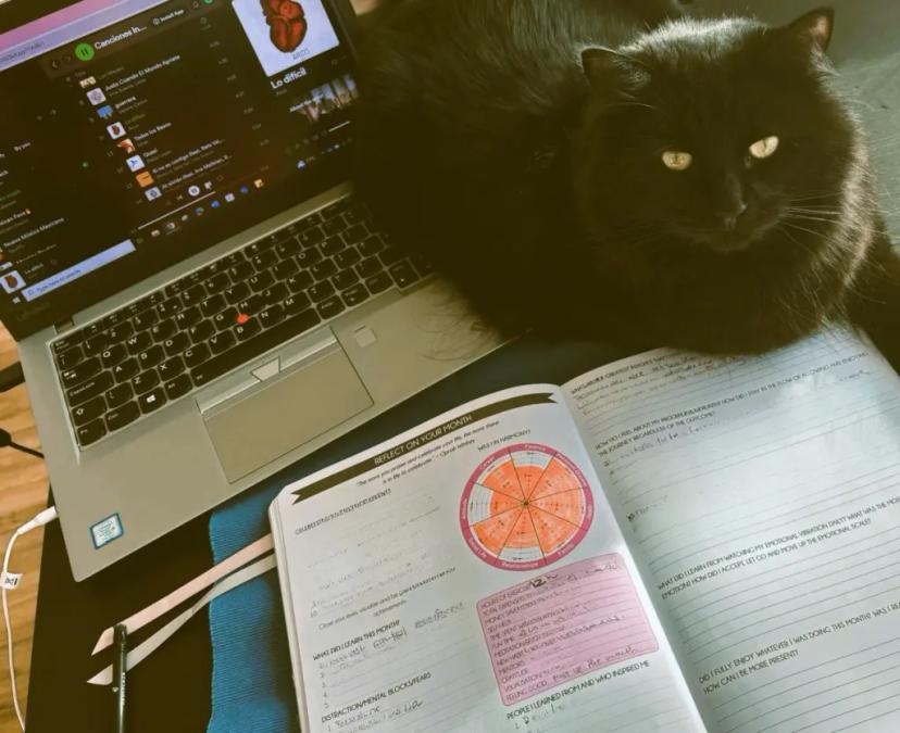 Mastering Monthly Goal Audits: A Roadmap to Success