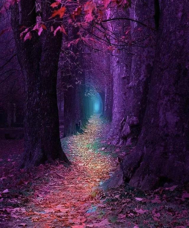 3 main reasons Why empaths and awakened souls find it difficult to connect with people 
