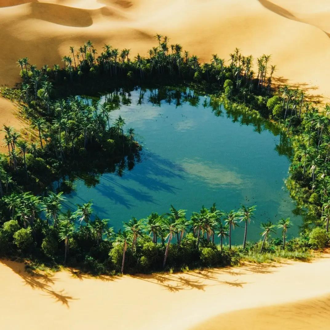 Oasis 