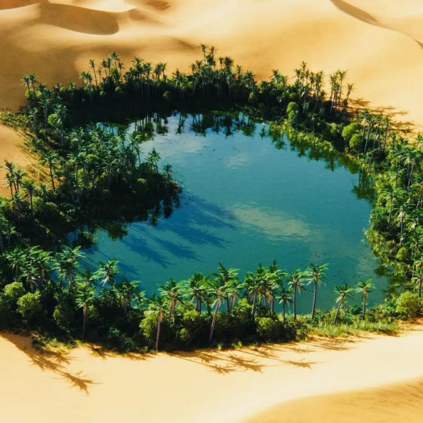 Oasis 